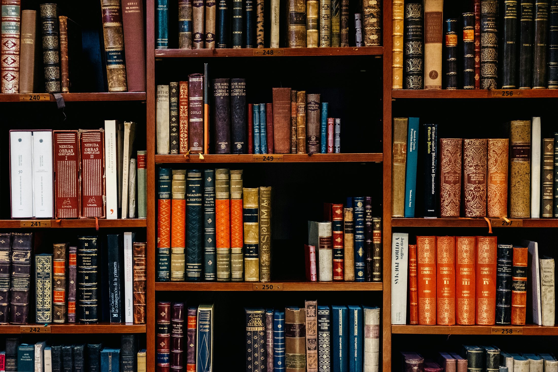 Estanterías de la biblioteca del despacho, llenas de tomos encuadernados